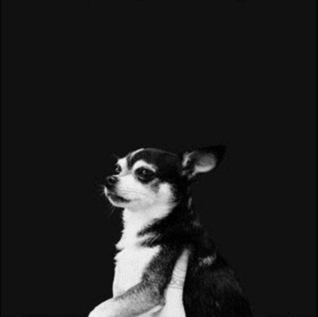 And the Kids - When This Life Is Over [CD / Album]