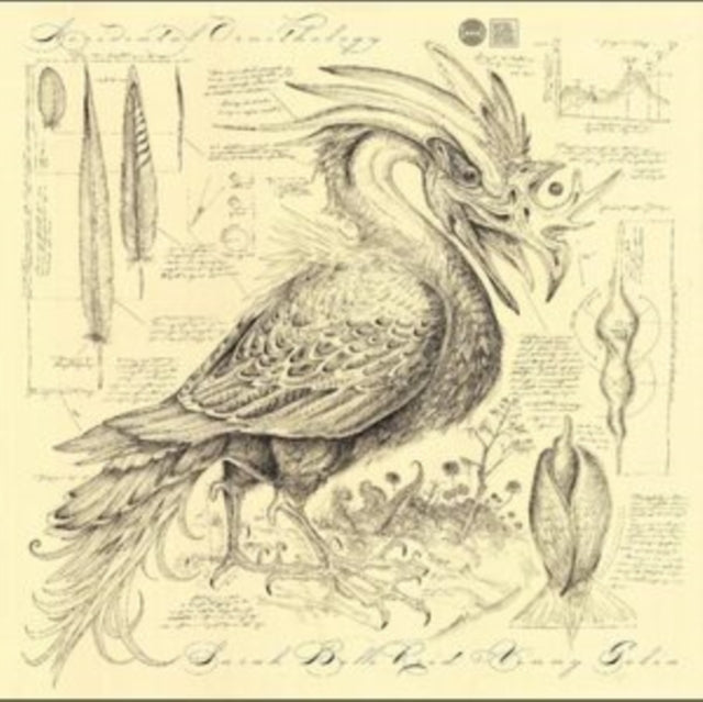Sarah Belle Reid & Vinny Golia - Accidental Ornithology [CD / Album]