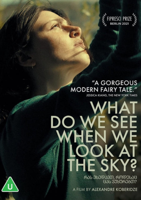 What Do We See When We Look at the Sky? [DVD]