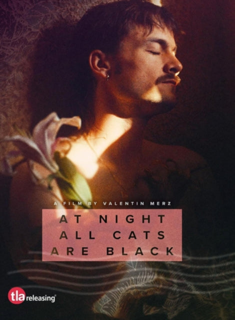 At Night All Cats Are Black [DVD]