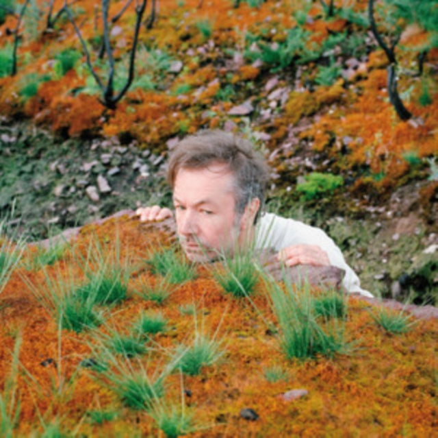 Fabiola - The Mushroom Type [CD / Album]