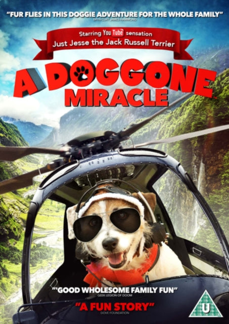A   Doggone Miracle [DVD]