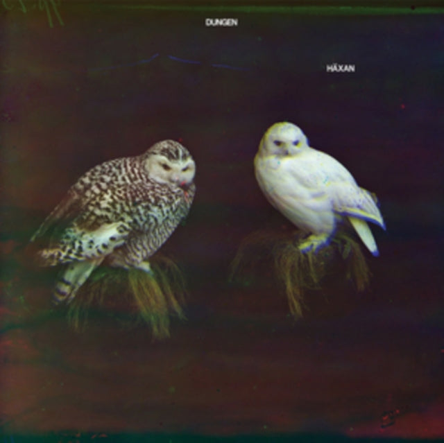 Dungen - Haxan [CD / Album]