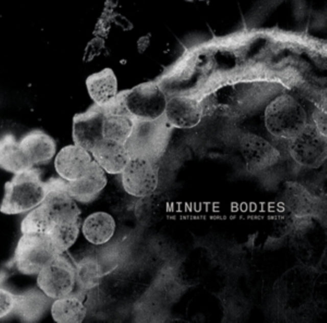 Tindersticks - Minute Bodies [CD / Album with DVD]