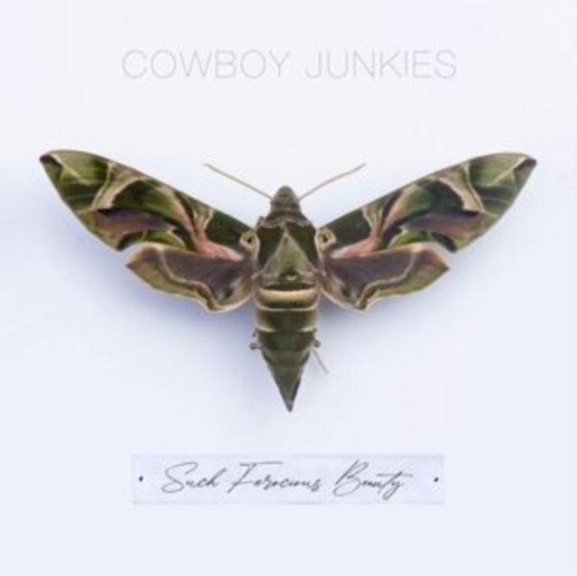 Cowboy Junkies - Such Ferocious Beauty [CD / Album]