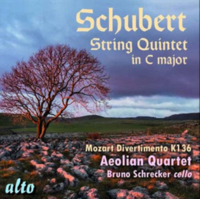 Schubert: String Quintet in C Major [CD / Album]