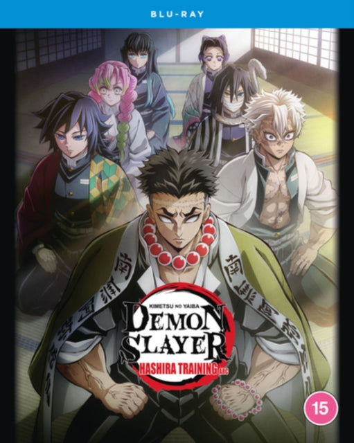 Demon Slayer: Kimetsu No Yaiba - Hashira Training Arc [Blu-ray]