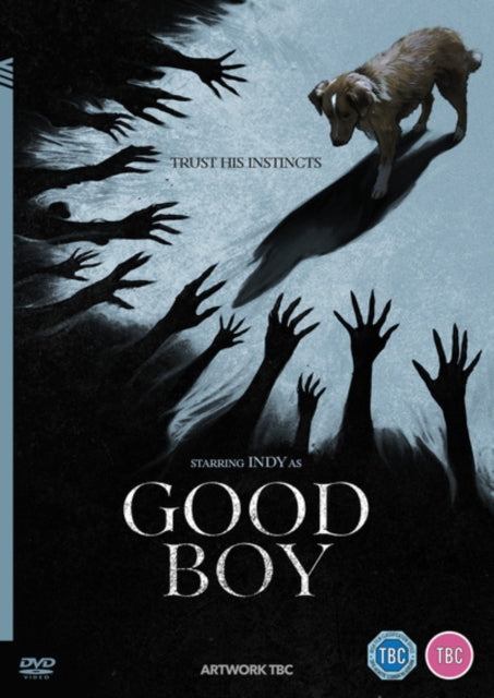 Good Boy [DVD]