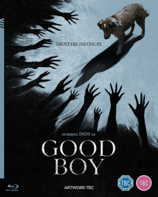 Good Boy [Blu-ray]