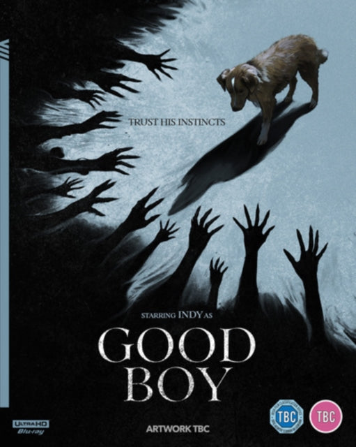 Good Boy [Blu-ray / 4K Ultra HD]