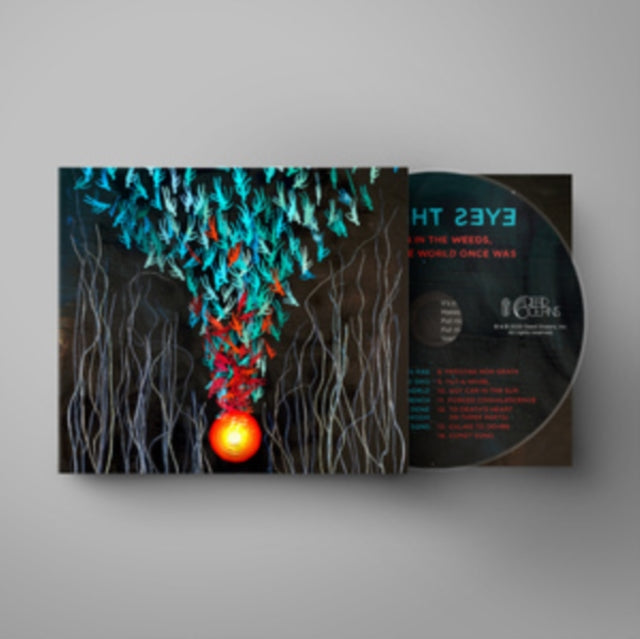 Bright Eyes - Down in the Weeds, Where the World Once Was [CD / Album]