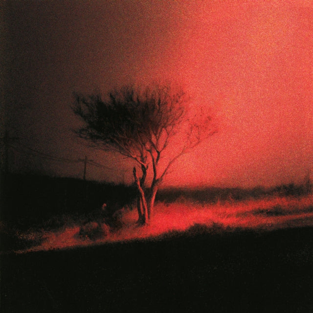 Joji - Piss in the Wind [CD / Album]