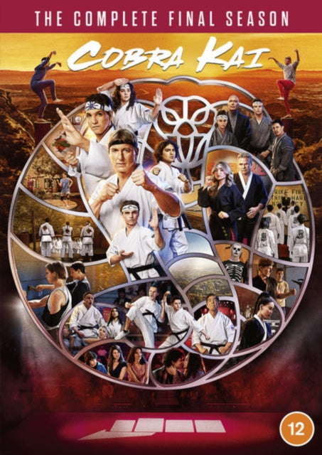 Cobra Kai: The Complete Final Season [DVD / Box Set]