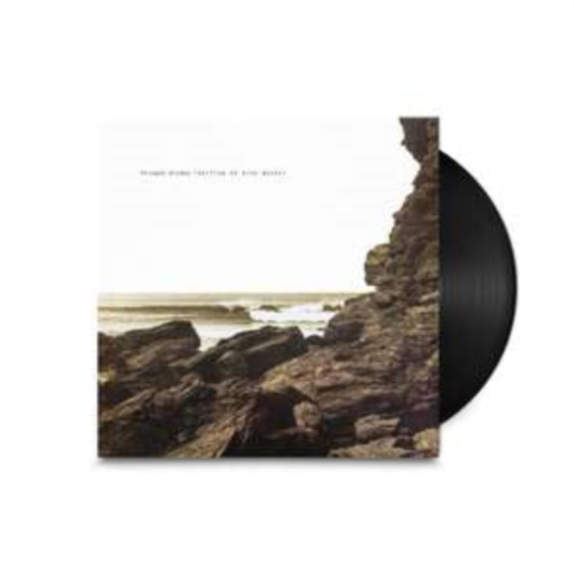 Polygon Window - Surfing On Sine Waves (Expanded Edition) [Vinyl / 12" Album Box Set]
