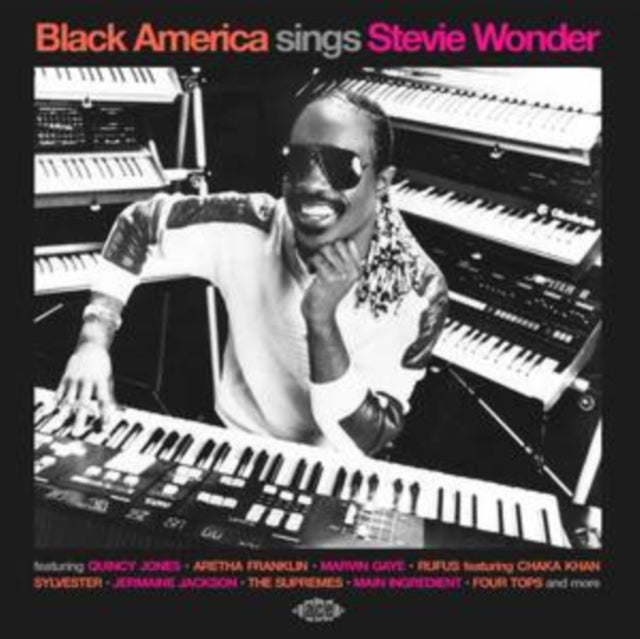 Various Artists - Black America Sings Stevie Wonder [CD / Album]