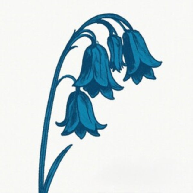 The Bluebells - This Is the Bluebells [CD / Album]
